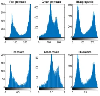 Figure 7: The Histogram of Images and Resized Images  
