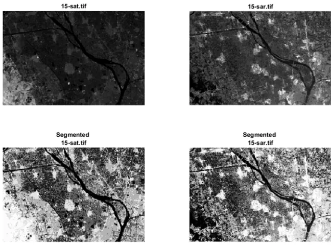 Fig 3 The Original Images In The First Row. The Original Images After Segmentation In The Second Row