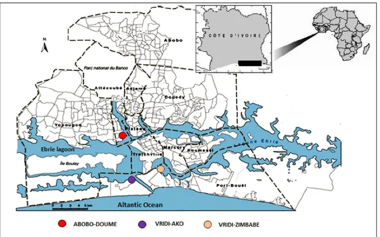 Figure 1. Landing places and samples sites of maritime artisanal resources in Abidjan    