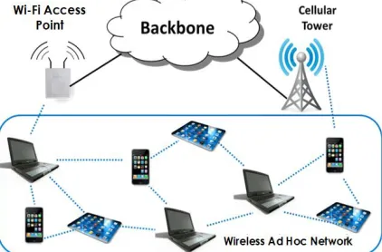 Figure 1: Structure Of Wireless Networks (Fan Wu 2012) 
