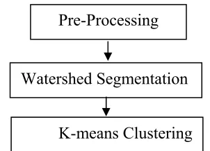 Figure 3: Proposed methodology flow chart 