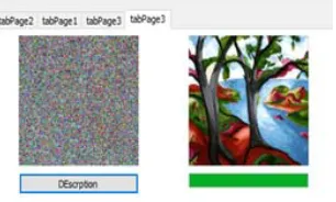 Figure 10: Shows the plain image after decryption 
