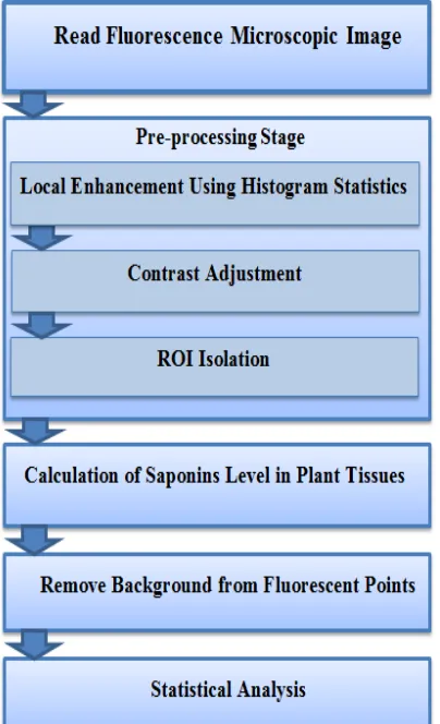 Figure 1: The proposed model architecture. 