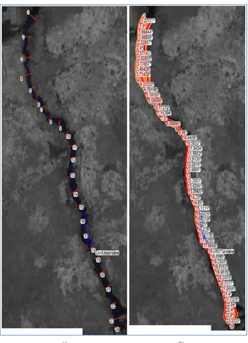 Figure 4. River cross-section cut lines: a) before interpolation; b)  after interpolation   
