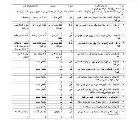 Fig. 2. Final version of Persian Translated PLUTSS questionnaire. 