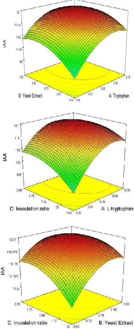 Fig. 1. Optimization for IAA production using response surface method in 3D surface plot 