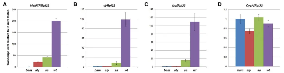 Fig. 2. Transcript levels for three tTAF target genes. Expression of (house keeping gene bam or wild-type (A) Mst87F, (B) dj, (C) fzo and (D) the non-target gene CycA in bam, aly, sawt) Drosophila testes, as calculated from microarray data