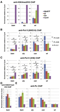 Fig. 3. Changes at the promoter regions of differentiation