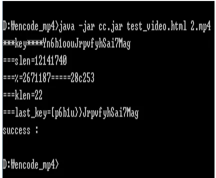 Figure 6: Execute file conversion 