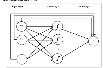 Figure 1: Architecture of CFNN for time series prediction  
