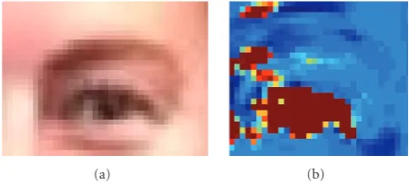 Figure 3: (a) Left eye input image (b) network output on left eye,darker pixels correspond to higher output.