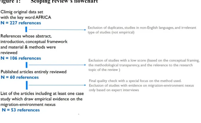 Figure 1: Scoping review’s flowchart