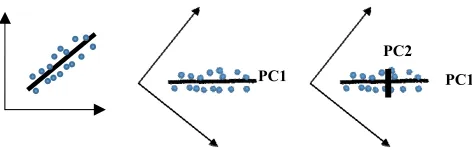 Fig. 1. Searching Principle Components in 2D-data. 