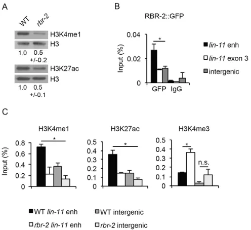 Fig. 5. RBR-2 regulates H3K4me levels at the lin-11 enhancer region.