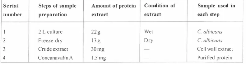 Table I. Analysis of the protein content of the crude and purified mannoprotein from Candida albicans