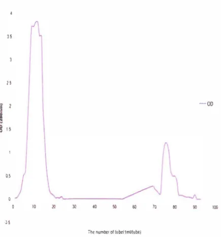 Fig. 4. Chromatographic pattern of column effluent after methyl O:-D-mannopyranoside treatment