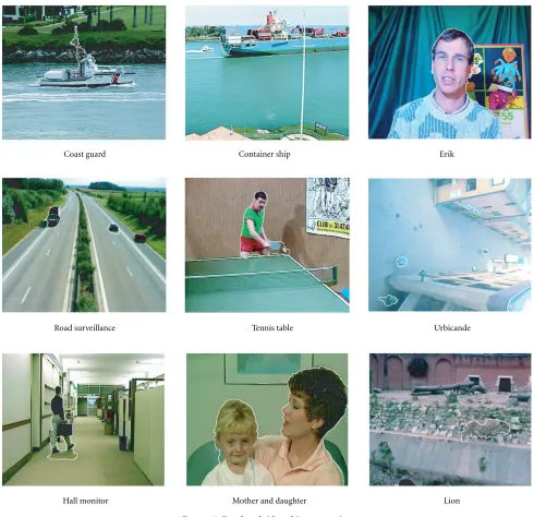 Figure 7: Results of video object extraction.