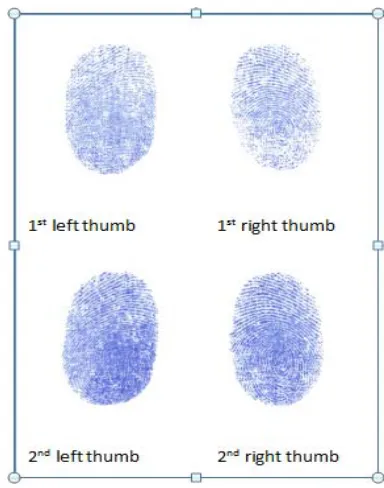 Figure 3 fingerprint dataset 