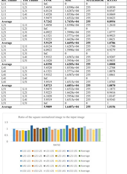 Figure 7 the ratio of the square normalized image to the input image 