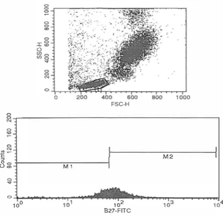 Fig. 1. A patient with intermediate flowcytometric pattern. 
