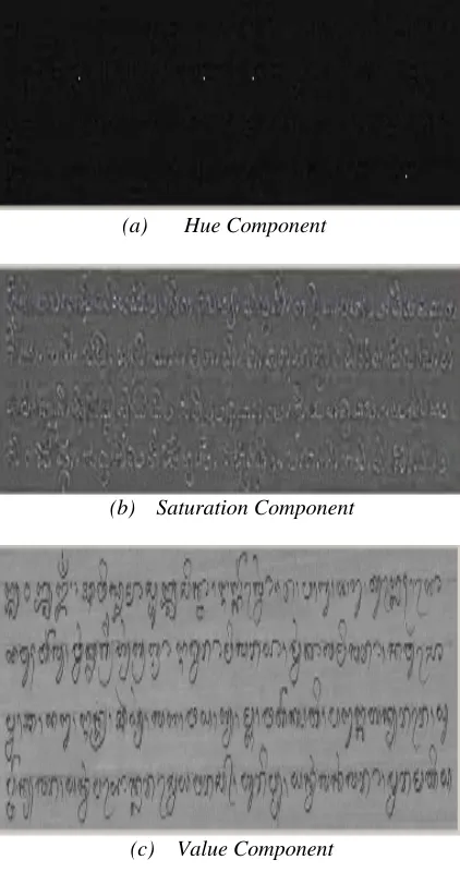 Figure 5: Binary Image 