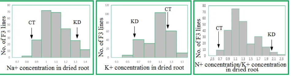 Figure 3. Concentration of Na+ , K+ and ration between concentration of NaYoshida culture, adding NaCl (100mM)  +/K+ in the dried shoot of the F3 rice lines grown in  