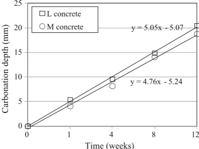 Fig. 20 Carbonation depth.