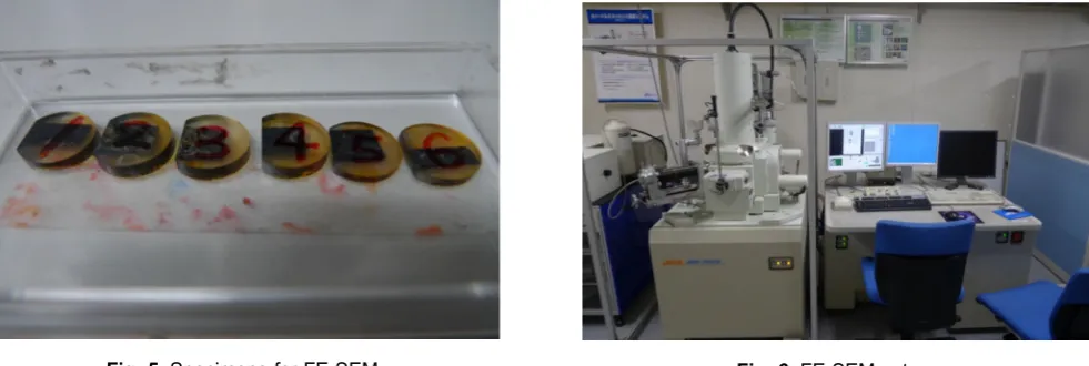 Fig. 6 FE-SEM setup.
