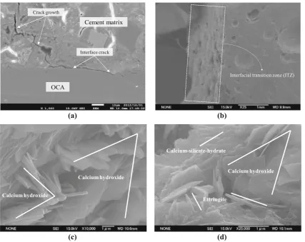 Fig. 8 Interface of OCA concrete. a Crack of interface. b Interface (ITZ). c Hydration products in interface (ITZ)-1