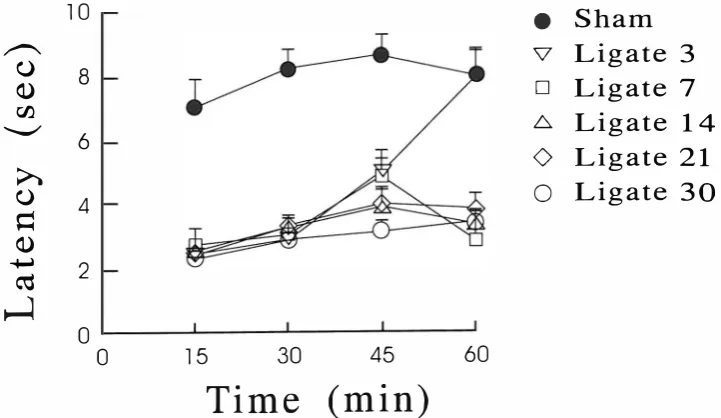 Fig. 3. Effect of sciatic nerve-ligation on morphine antinociception in mice. Animals were either sham­