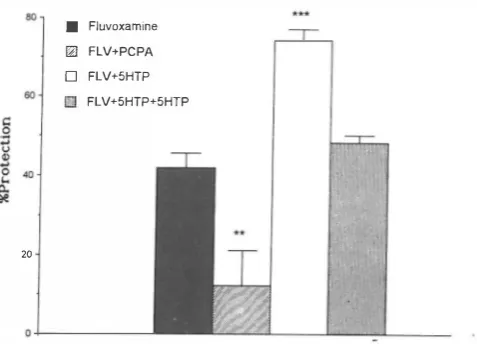 Fig. 6. Effconstriction test. Values are mean±S.E.M. (n>8). and 5-HTP 30 min pre-treatment