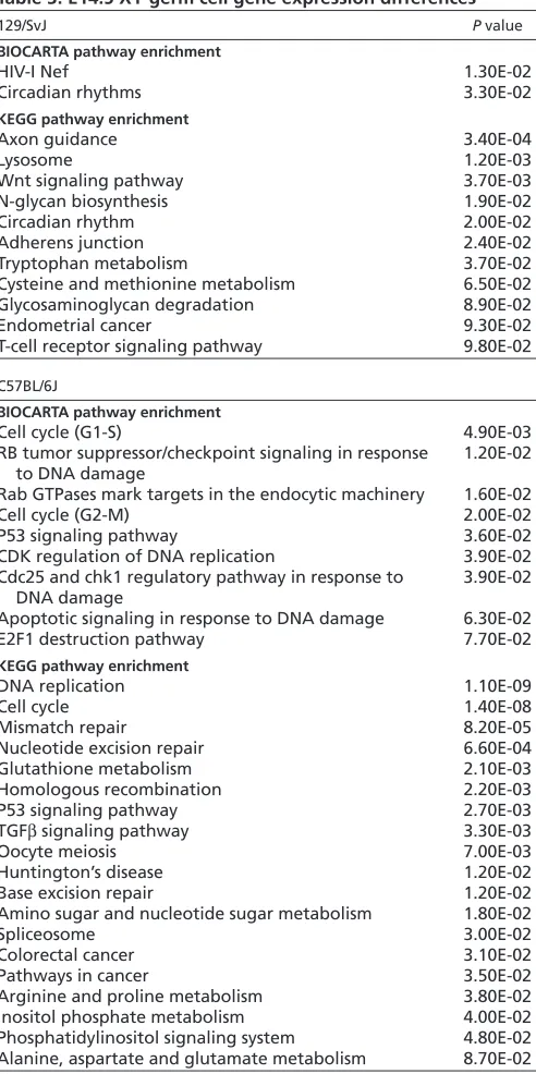 Table 3. E14.5 XY germ cell gene expression differences