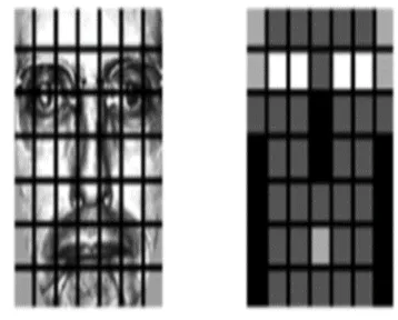 Figure 7. A Preprocessing Of Face Mask Image Sample Split Into 49 Windows 