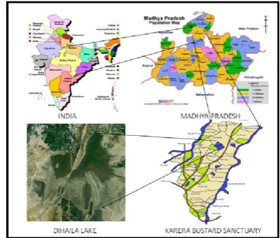 Fig. 1. Location of Dihaila Lake in Karera Bustard Sanctuary, Shivpuri, M.P. 