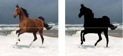 Figure 2: The result of horse segmentation using background subtraction technique. 