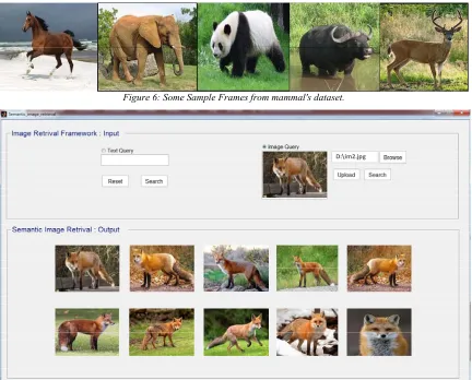 Figure 6: Some Sample Frames from mammal's dataset. 
