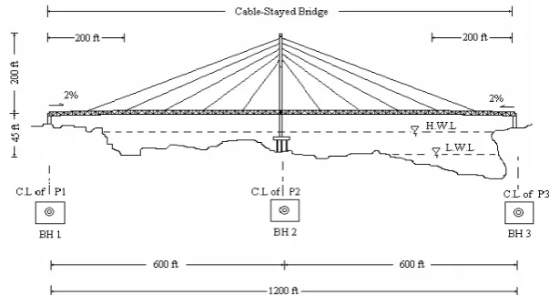 Fig. 1. Configuration of proposed bridge 