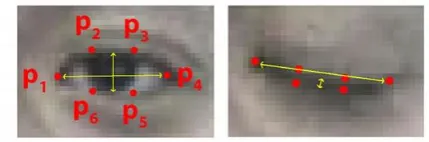 Figure 2 Open and closed eyes landmark Pi 