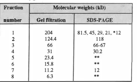 Table ll. Molecular weights of the molecules determined by gel in the fractions as filtration and SDS-PAGE