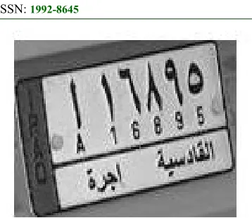 Figure 11: Cropped The License Plate Region 