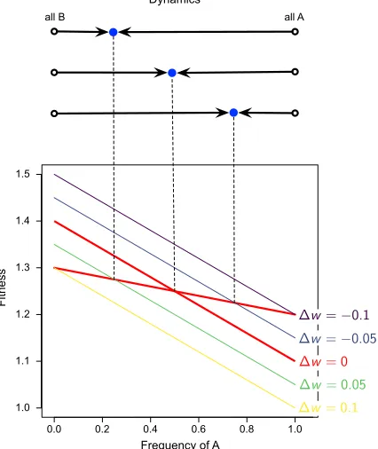 Figure 1:Change in the stable ﬁxed point with change in baseline ﬁtness