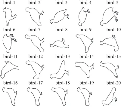 Figure 3: The contours in Figure 2 after alignment.