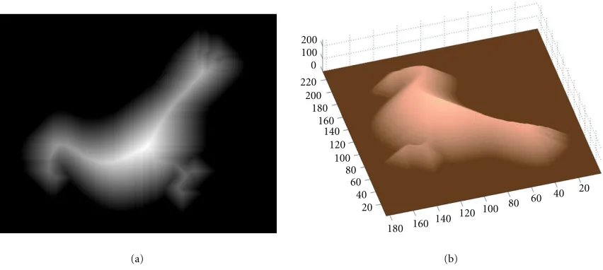 Figure 4: (a) The distance map generated for the “bird-19” contour in Figure 1, (b) a 3D view of this distance map.