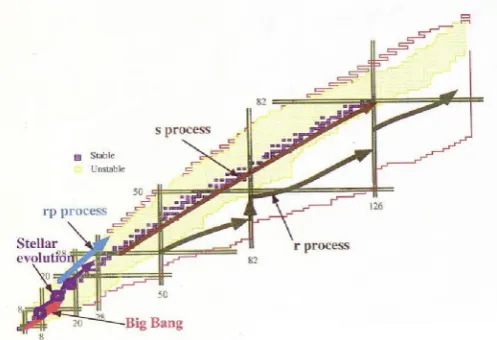 Figure 2. Path of nucleosynthesis at various sites. The decay 