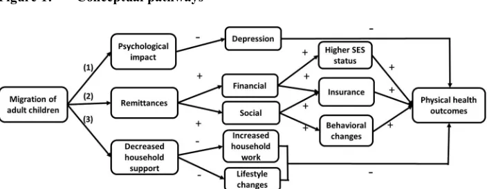 Figure 1: Conceptual pathways