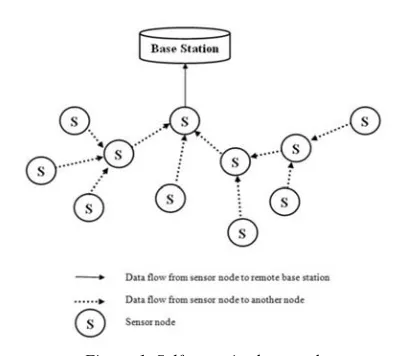 Figure 1. Self-organized network 