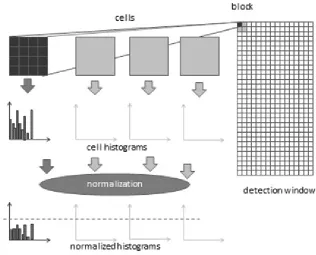 Figure 3: Demonstrates the HOG algorithm implementation.   