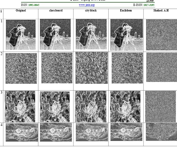 Figure 4:  The effect of Histogram equalization  of the  plain image and encrypted images