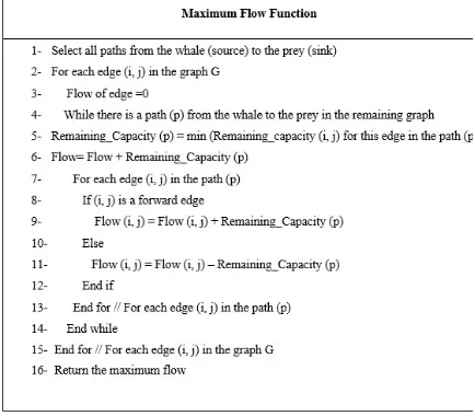 Figure 4: Cluster Function for clustering and calculating the local MaxFlow 