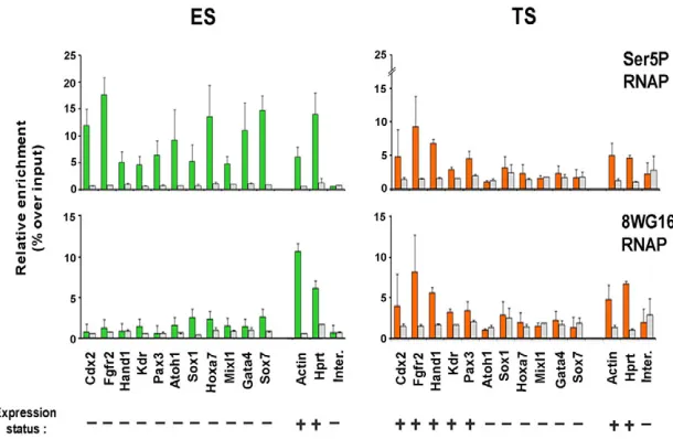 Fig. 3. RNA polymerase II occupancy and